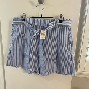 J Crew Factory shorts Size 14